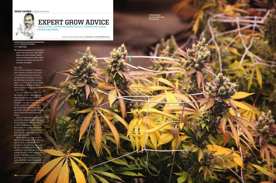 EXPERT GROW ADVICE