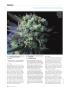Page: - 108 | High Times