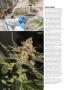 Page: - 60 | High Times