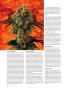 Page: - 72 | High Times