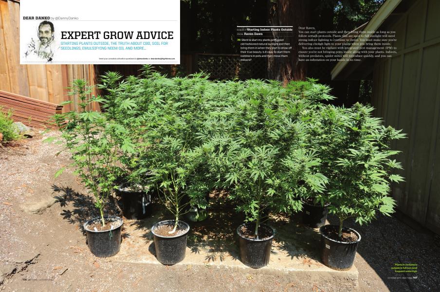 EXPERT GROW ADVICE