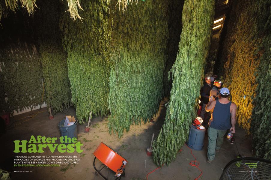 After the Harvest