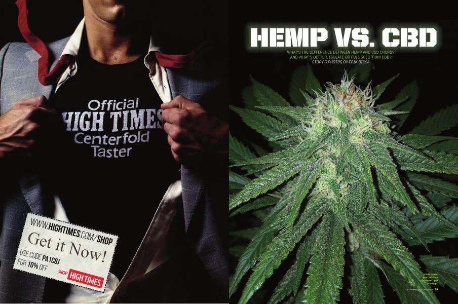 HEMP VS. CBD