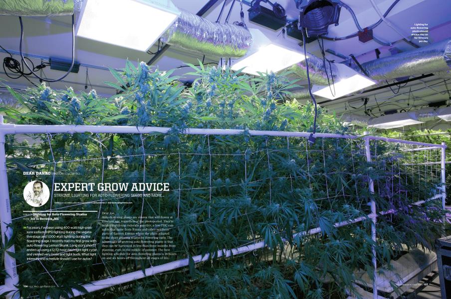 EXPERT GROW ADVICE