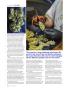 Page: - 100 | High Times