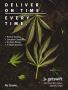 Page: - 113 | High Times