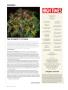 Page: - 12 | High Times