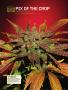 Page: - 122 | High Times