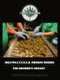 Page: - 133 | High Times