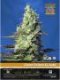 Page: - 25 | High Times