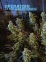 Page: - 54 | High Times