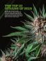 Page: - 62 | High Times