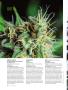 Page: - 66 | High Times