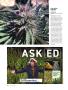 Page: - 74 | High Times