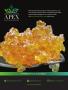 Page: - 81 | High Times
