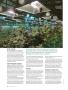 Page: - 82 | High Times