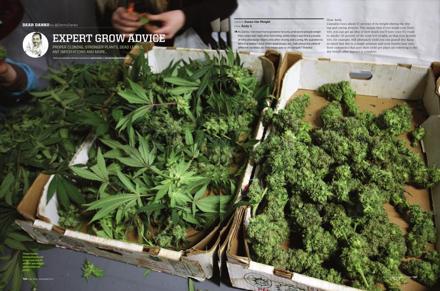 EXPERT GROW ADVICE