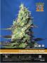 Page: - 25 | High Times