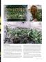 Page: - 71 | High Times