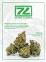 Page: - 85 | High Times