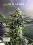 Page: - 118 | High Times