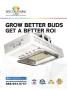 Page: - 3 | High Times