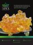 Page: - 51 | High Times