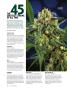 Page: - 62 | High Times