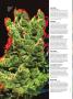 Page: - 66 | High Times