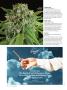 Page: - 74 | High Times