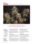 Page: - 8 | High Times
