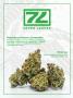 Page: - 85 | High Times