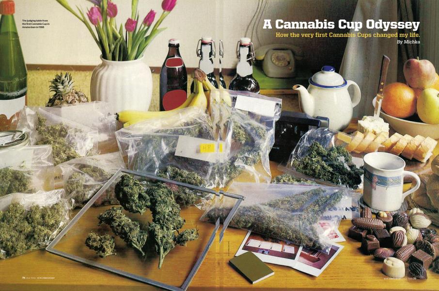 A Cannabis Cup Odyssey