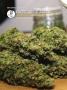 Page: - 106 | High Times
