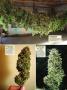 Page: - 122 | High Times