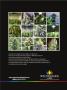 Page: - 29 | High Times