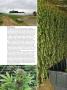 Page: - 64 | High Times