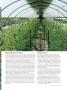 Page: - 71 | High Times
