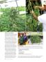 Page: - 72 | High Times