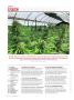 Page: - 8 | High Times