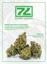 Page: - 85 | High Times