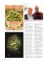 Page: - 92 | High Times