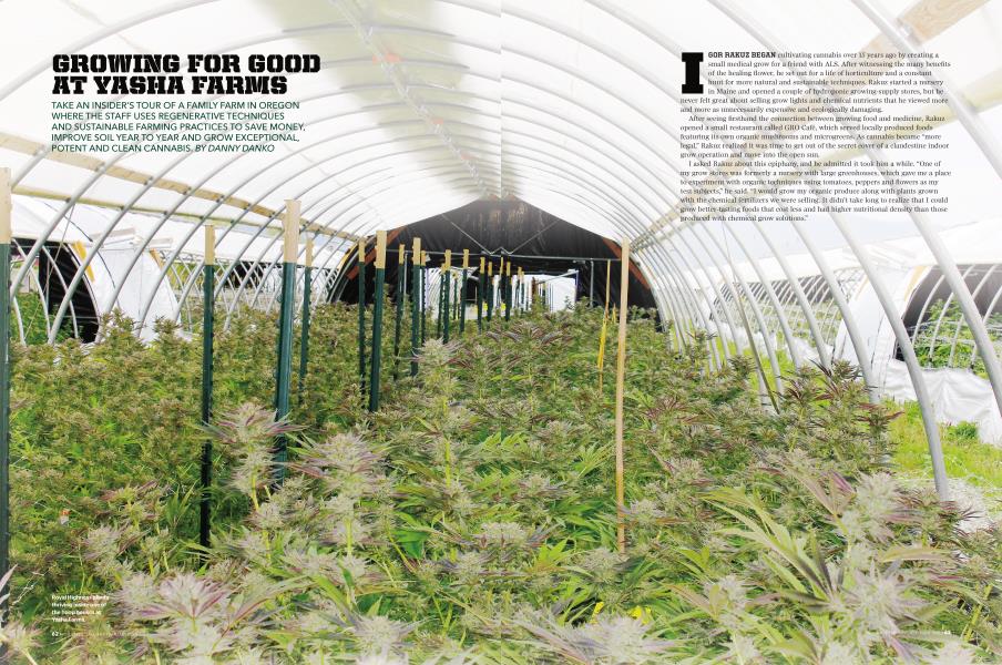 GROWING FOR GOOD AT YASHA FARMS
