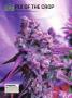 Page: - 120 | High Times