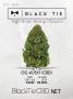 Page: - 2 | High Times
