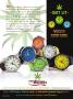Page: - 33 | High Times