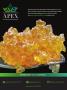 Page: - 47 | High Times
