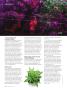 Page: - 52 | High Times