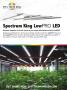 Page: - 53 | High Times