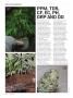 Page: - 74 | High Times